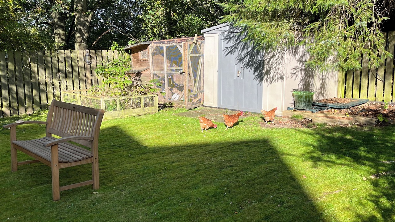 Photo of Outdoor in Blaydon on Tyne
