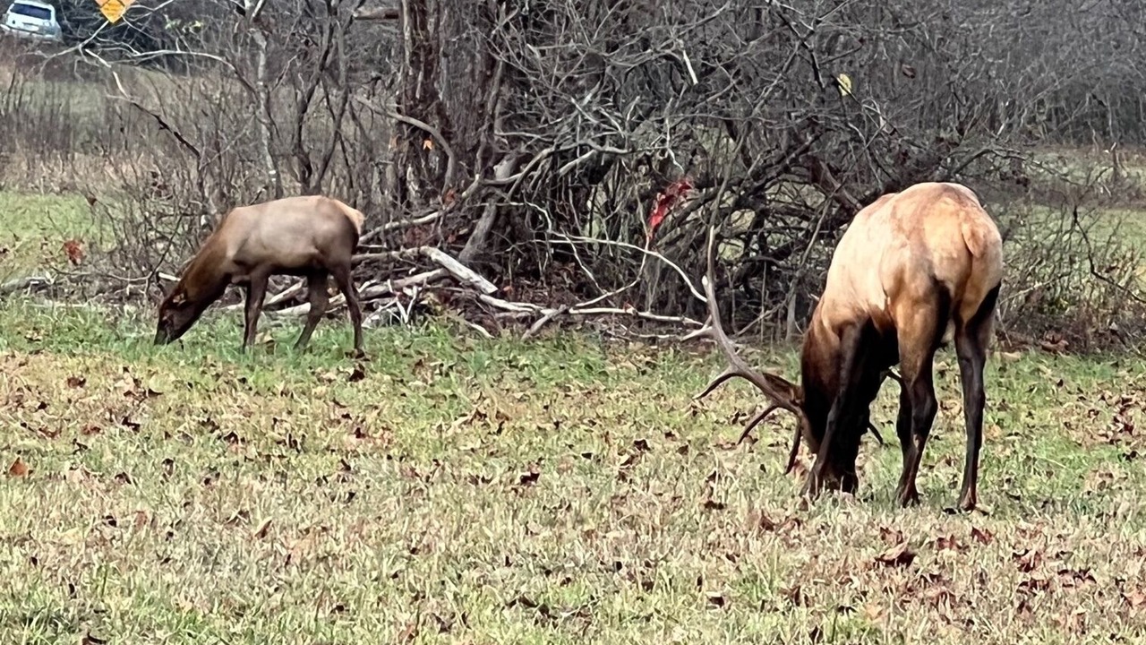 Photo of Outdoor in Cherokee