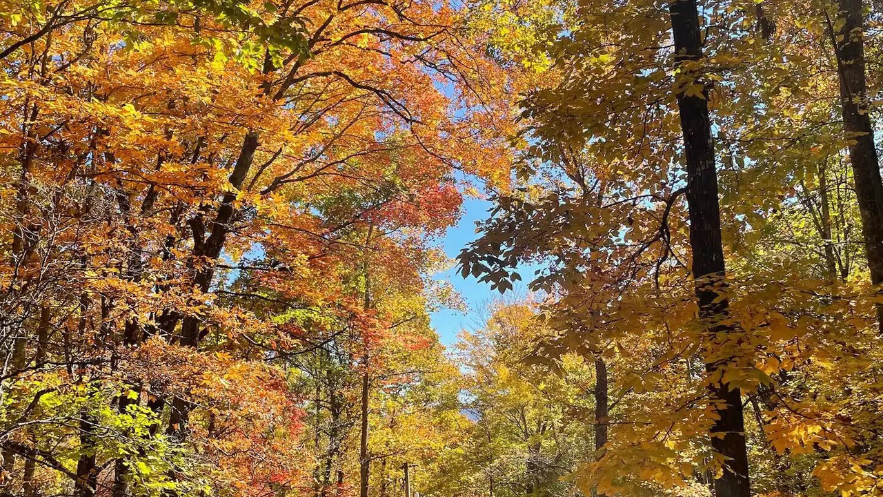 Photo of Outdoor in Franklin