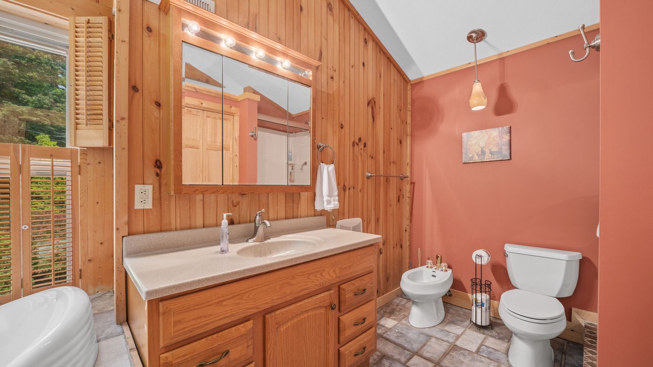 Photo of Bathroom in Vein Mountain