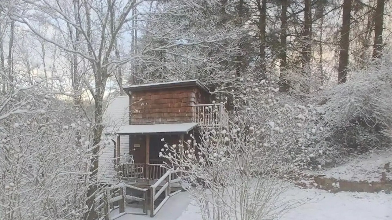Photo of Outdoor in Summer Hill