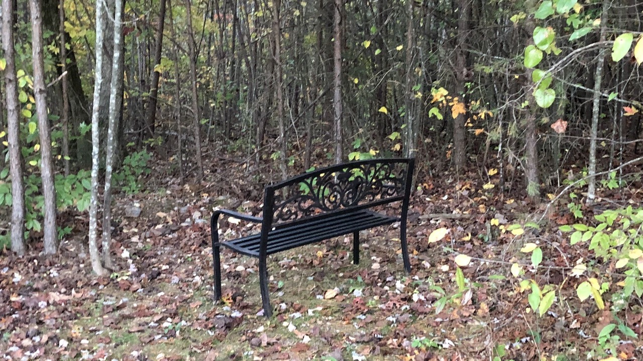 Photo of Outdoor in Moravian Falls
