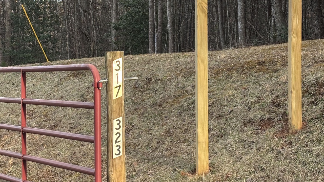 Photo of Outdoor in Moravian Falls