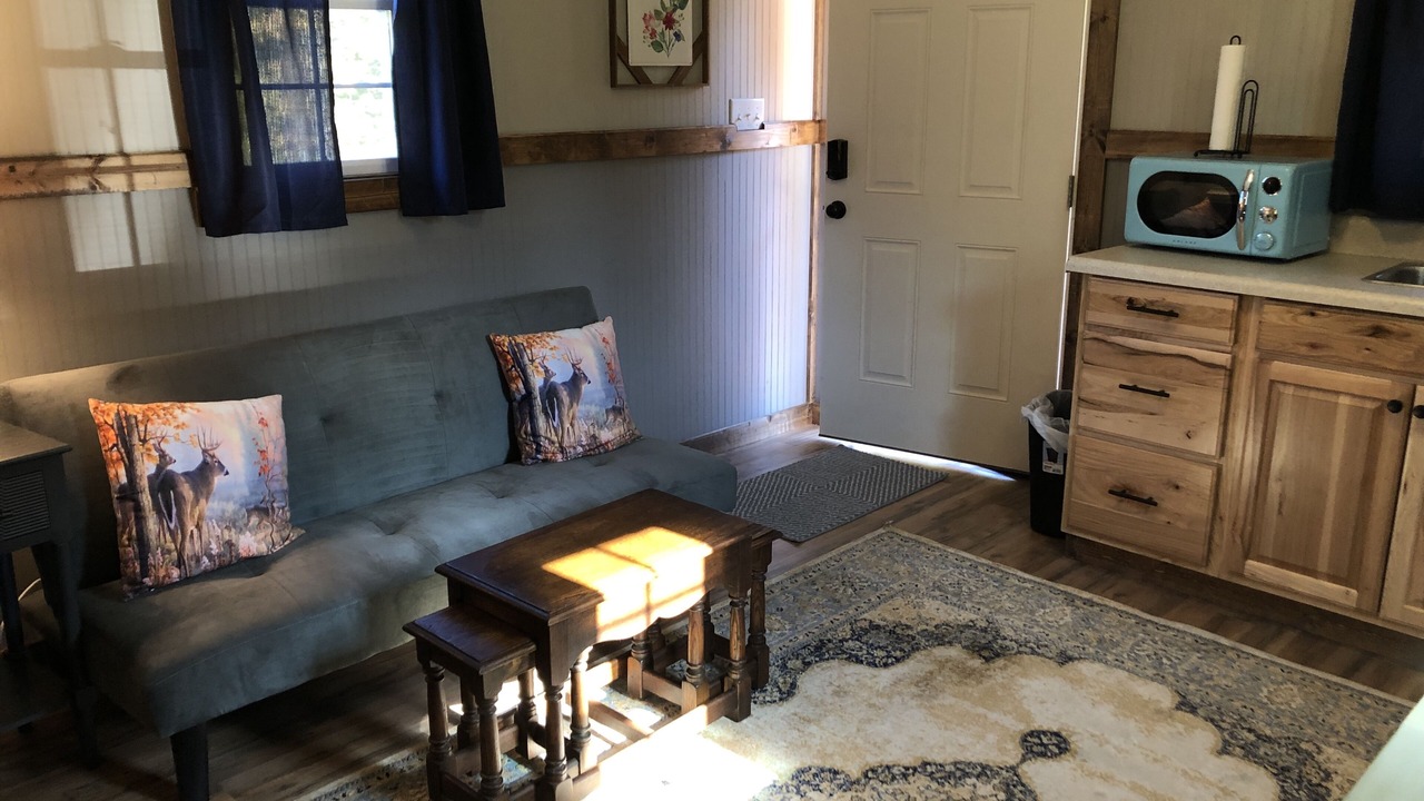 Photo of Livingroom in Moravian Falls