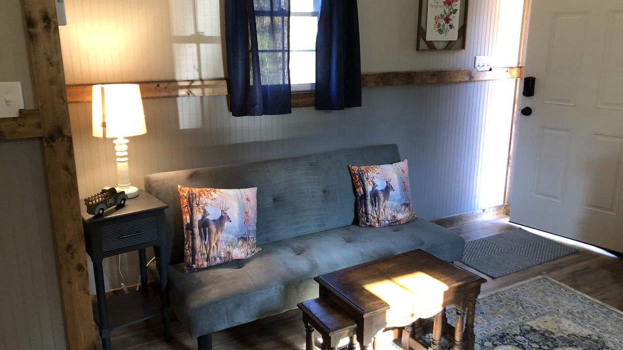 Photo of Livingroom in Moravian Falls