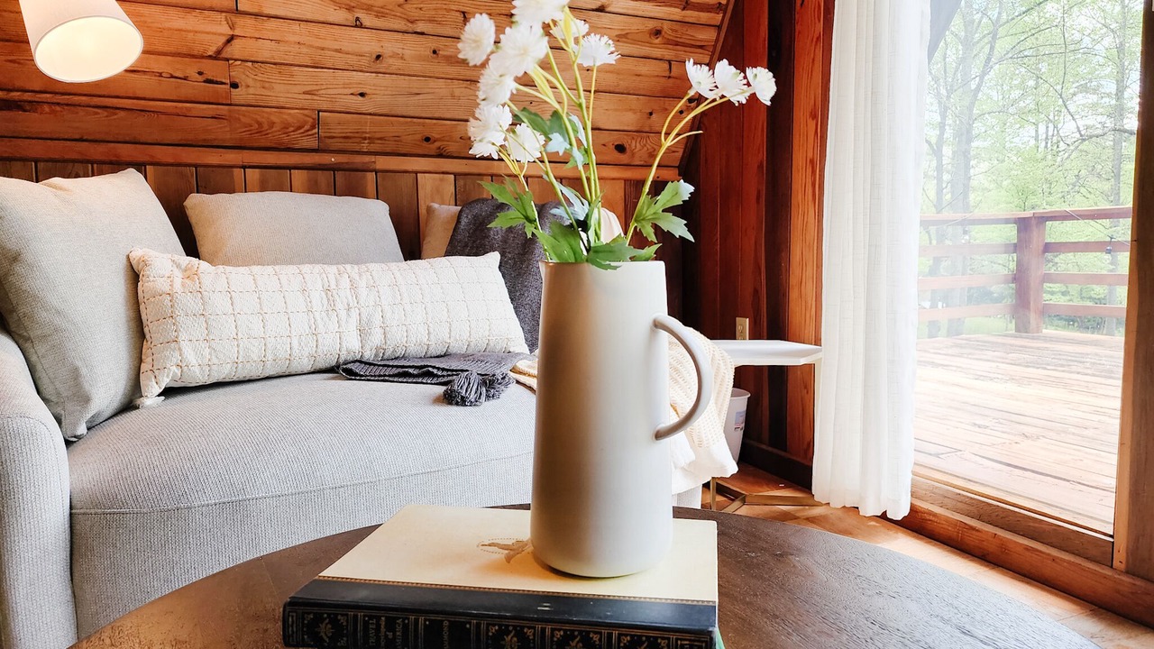 Photo of Livingroom in Sylva