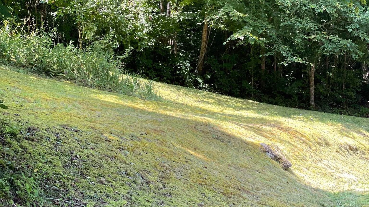 Photo of Outdoor in Robbinsville