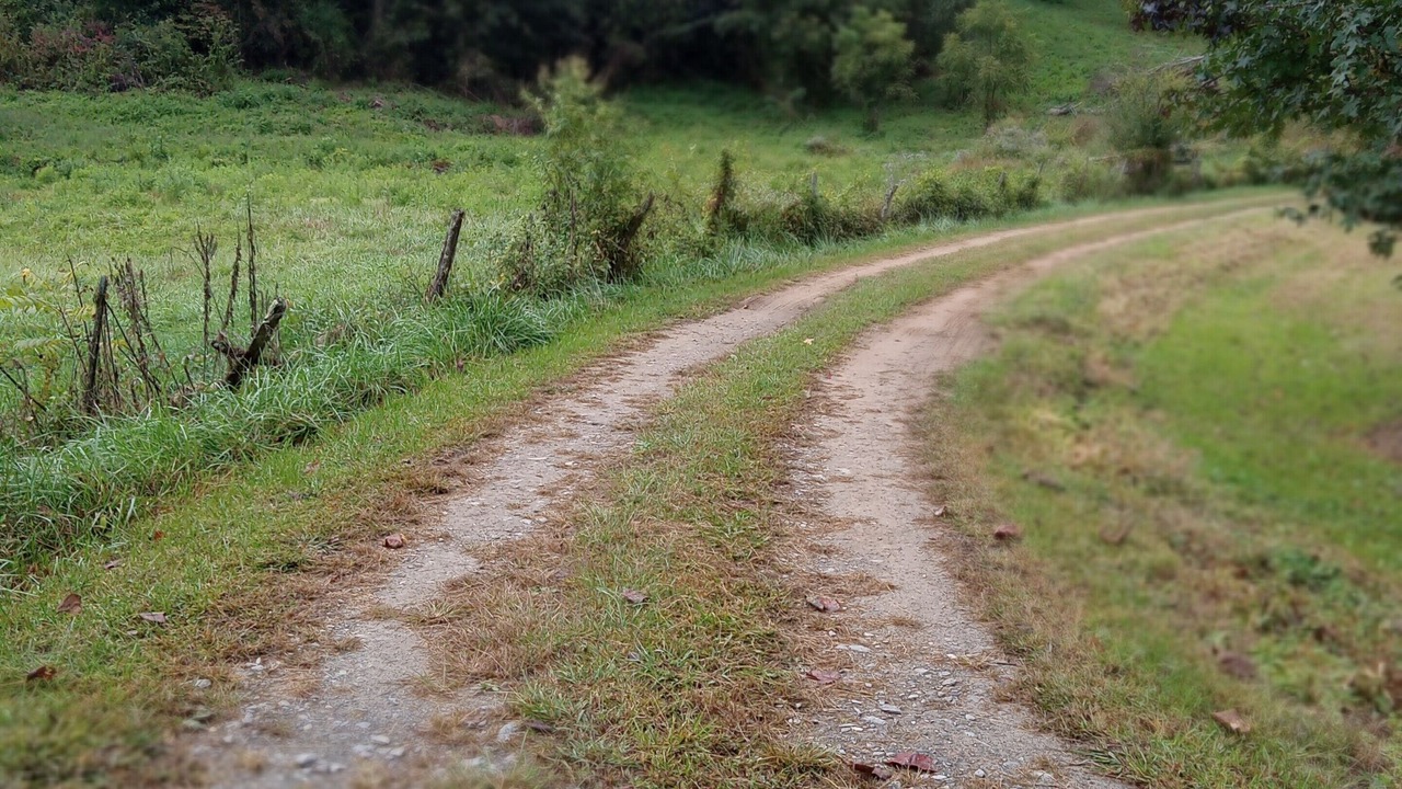 Photo of Outdoor in Robbinsville