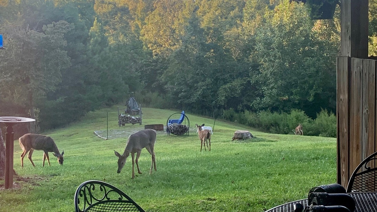 Photo of Others in Rutherfordton
