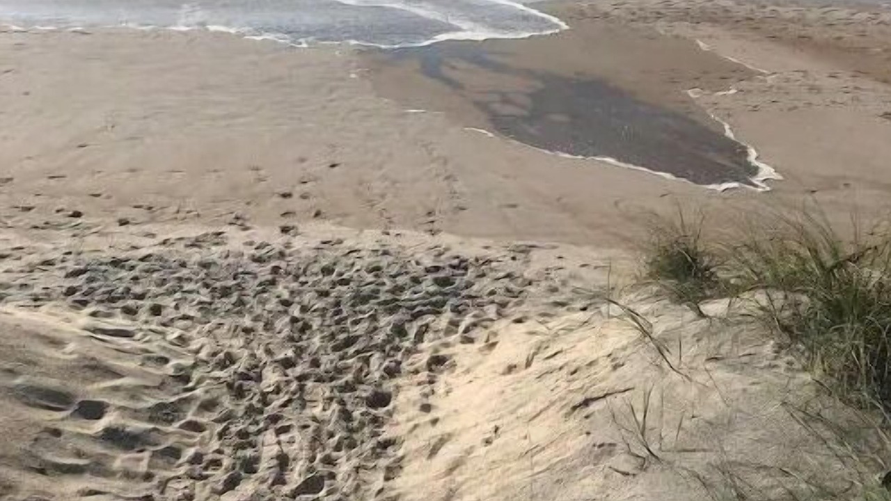Photo of Others in Ocean City Beach