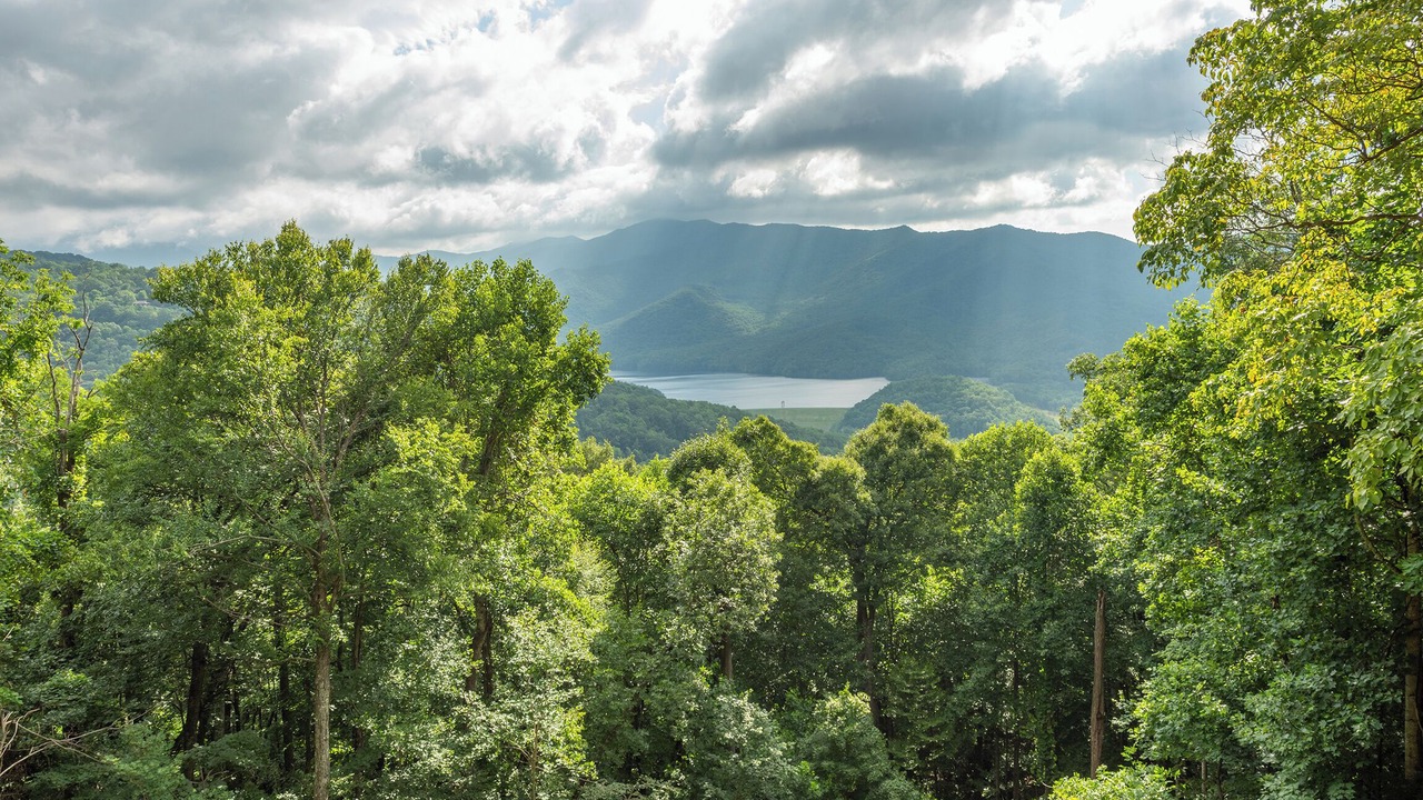 Photo of Outdoor in Laurel Ridge