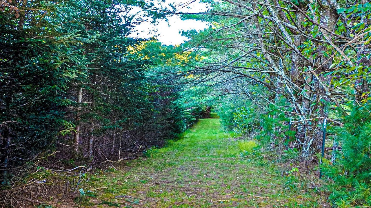 Photo of Outdoor in Ashe County