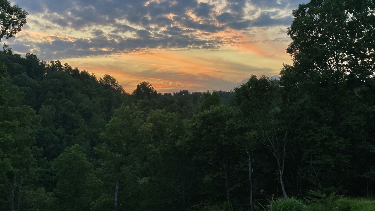 Photo of Outdoor in Marshall