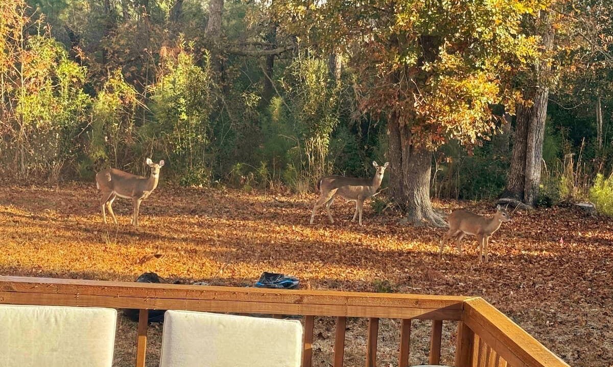 Photo of Outdoor in Kirkland