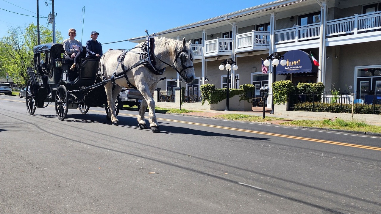 Photo of Others in Wilmington Historic District