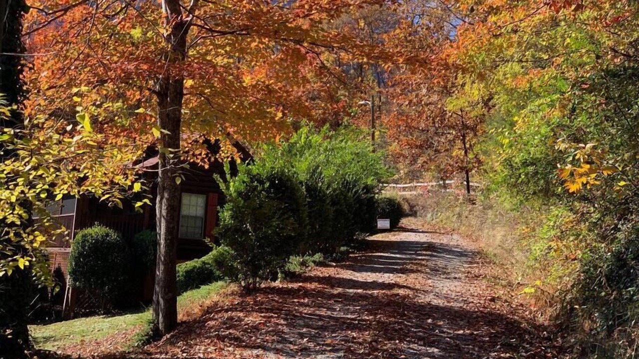 Photo of Others in Lake Lure