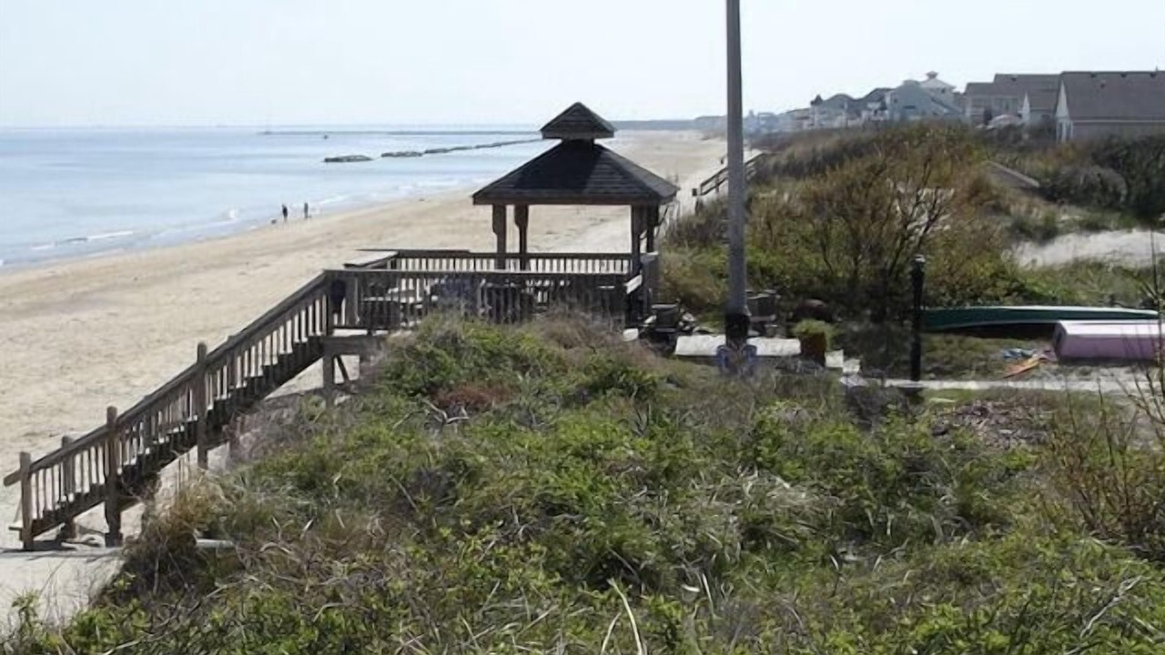Photo of Others in East Ocean View
