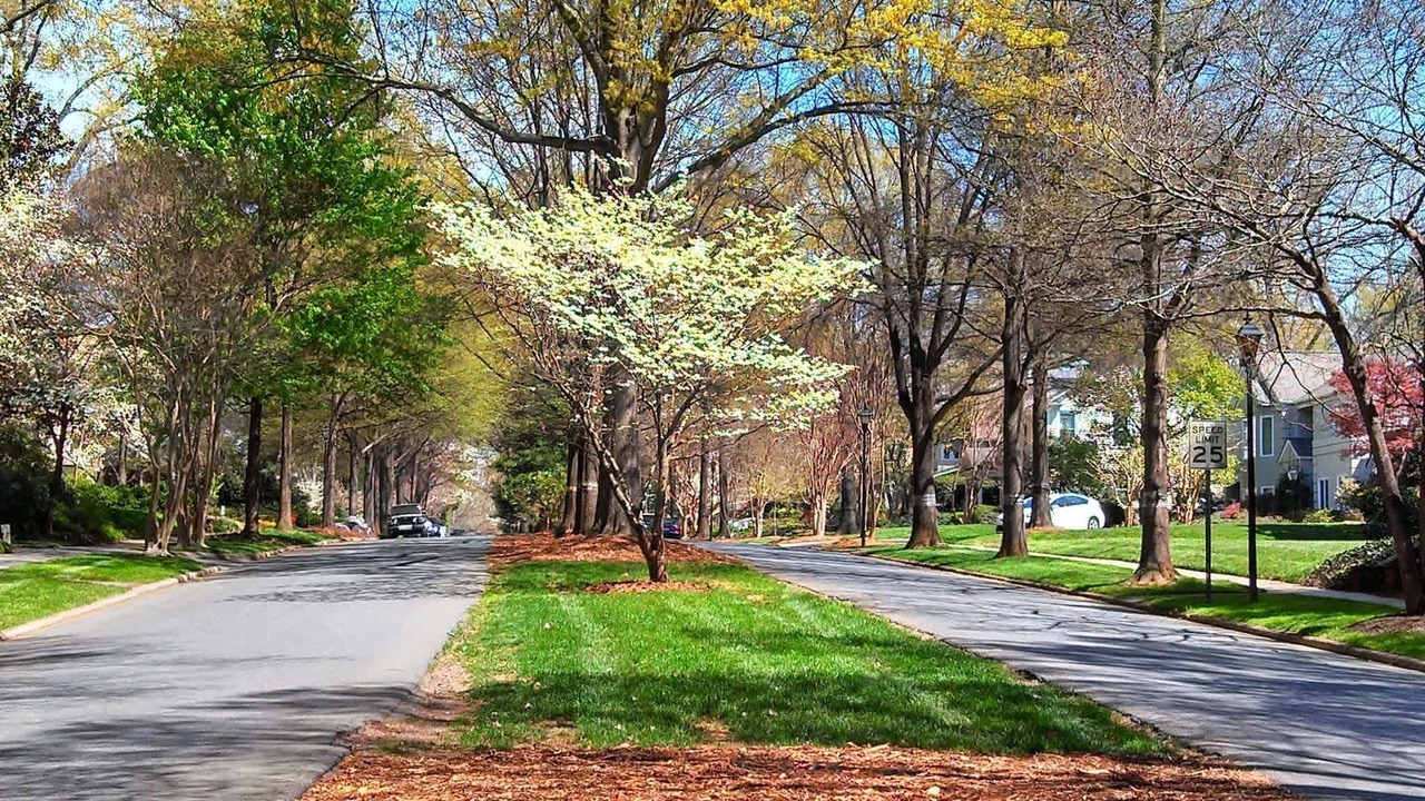 Photo of Others in Charlotte Center City