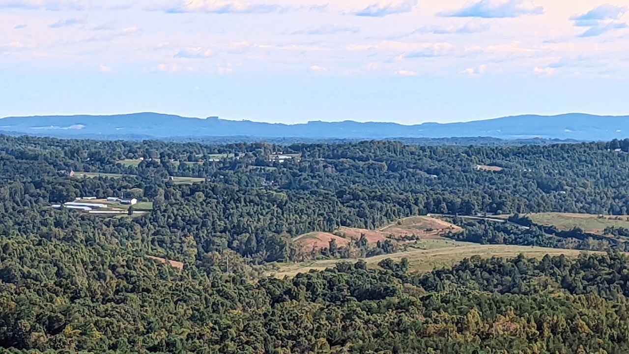 Photo of Others in Traphill
