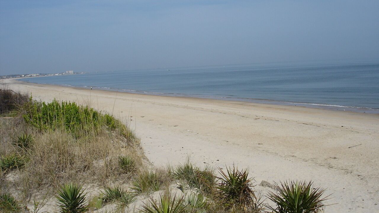 Photo of Others in East Ocean View