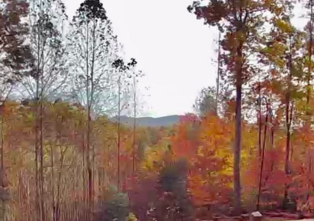 Photo of Outdoor in Lake Lure