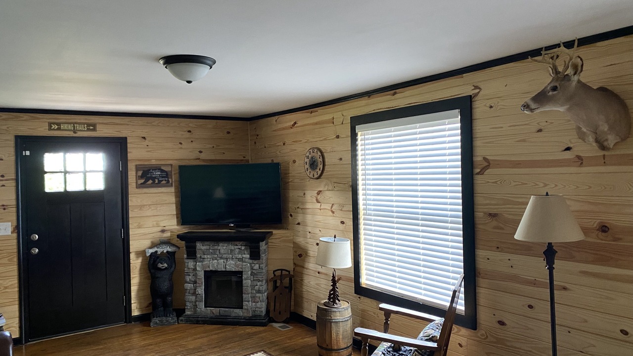 Photo of Livingroom in Millers Creek