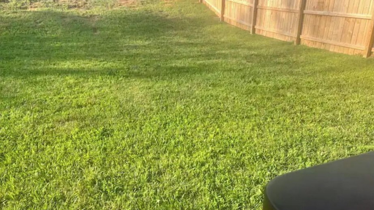 Photo of Outdoor in Greensboro