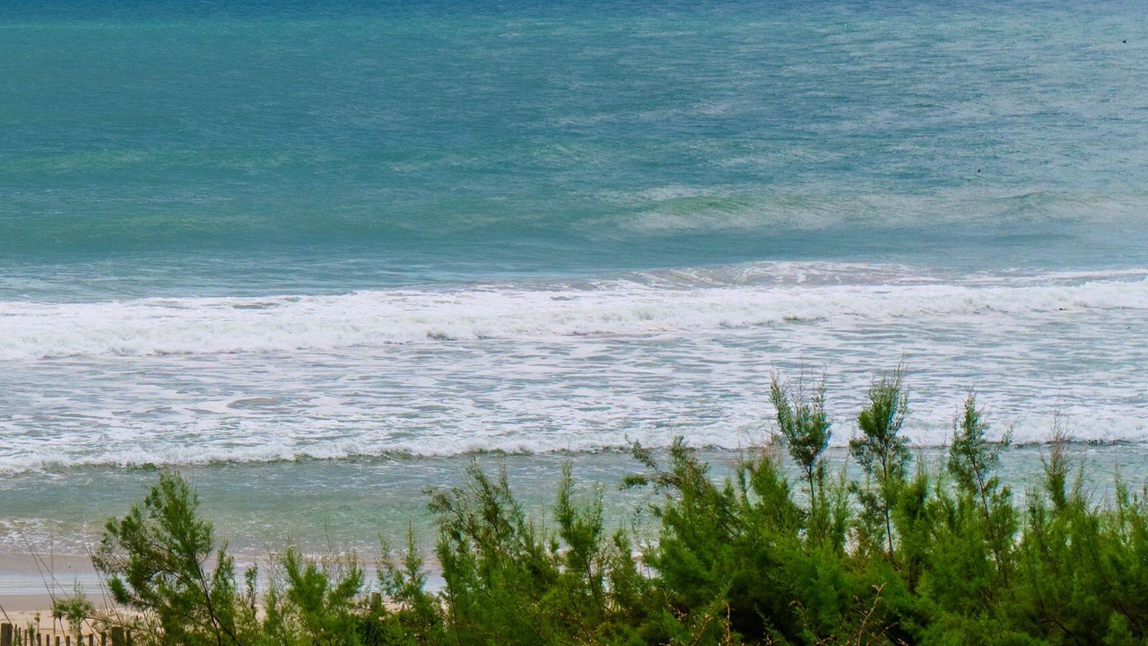 Photo of Others in Village of Stump Sound