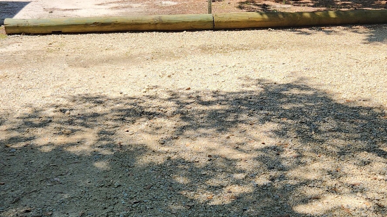 Photo of Others in Benson