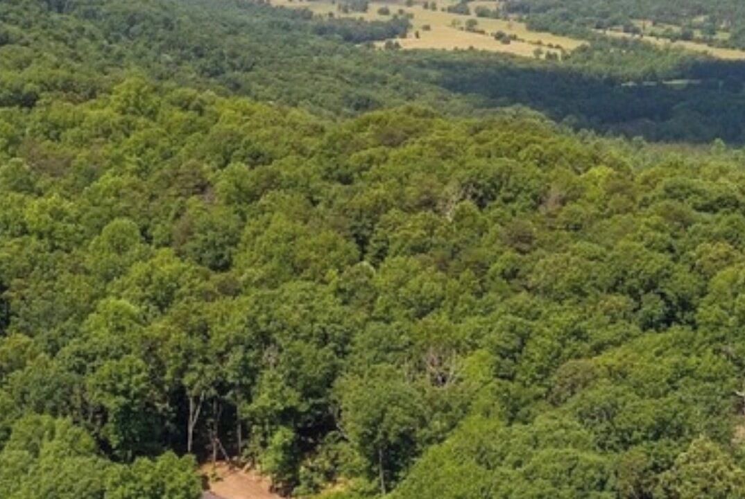 Photo of Others in Valley Head