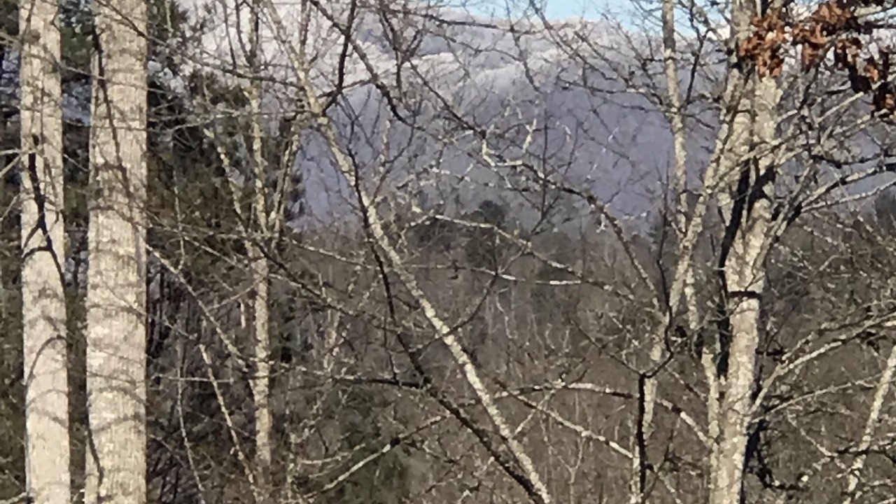 Photo of Others in Waynesville