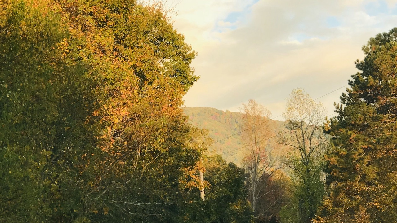 Photo of Others in Waynesville