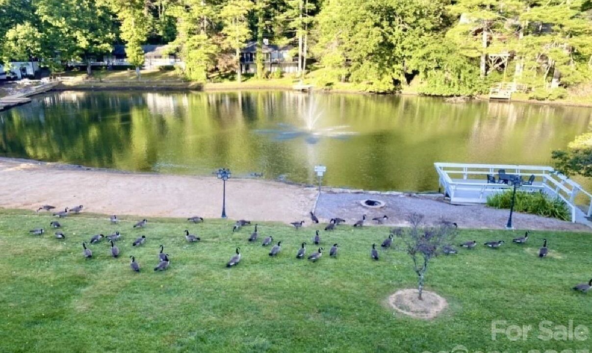 Photo of Outdoor in Flat Rock