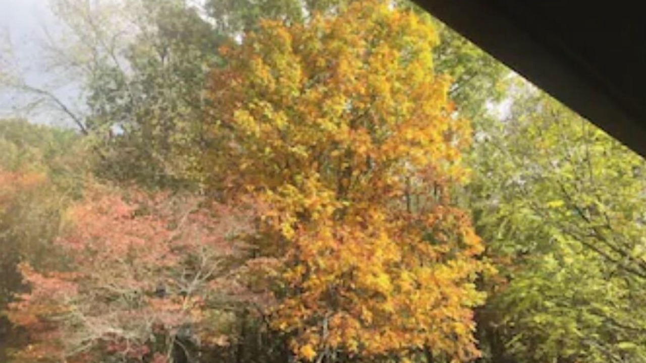 Photo of Outdoor in Canton