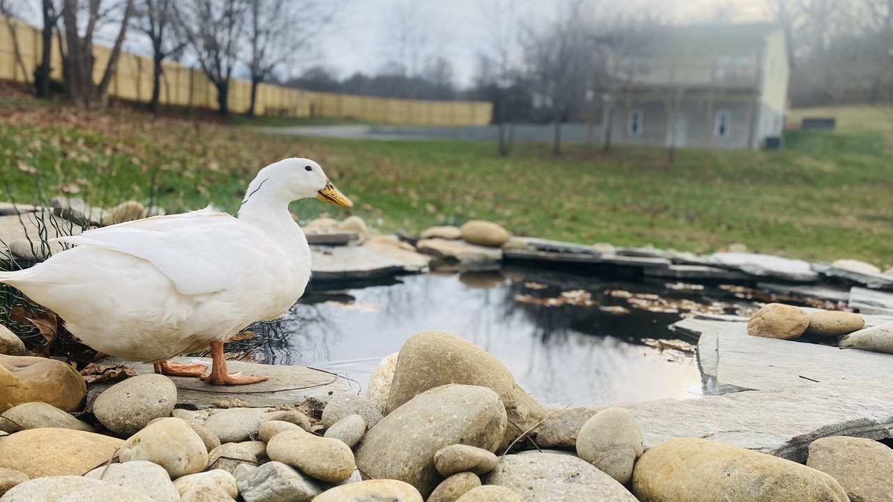 Photo of Outdoor in Waynesville