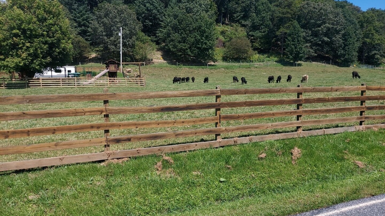 Photo of Outdoor in Clyde