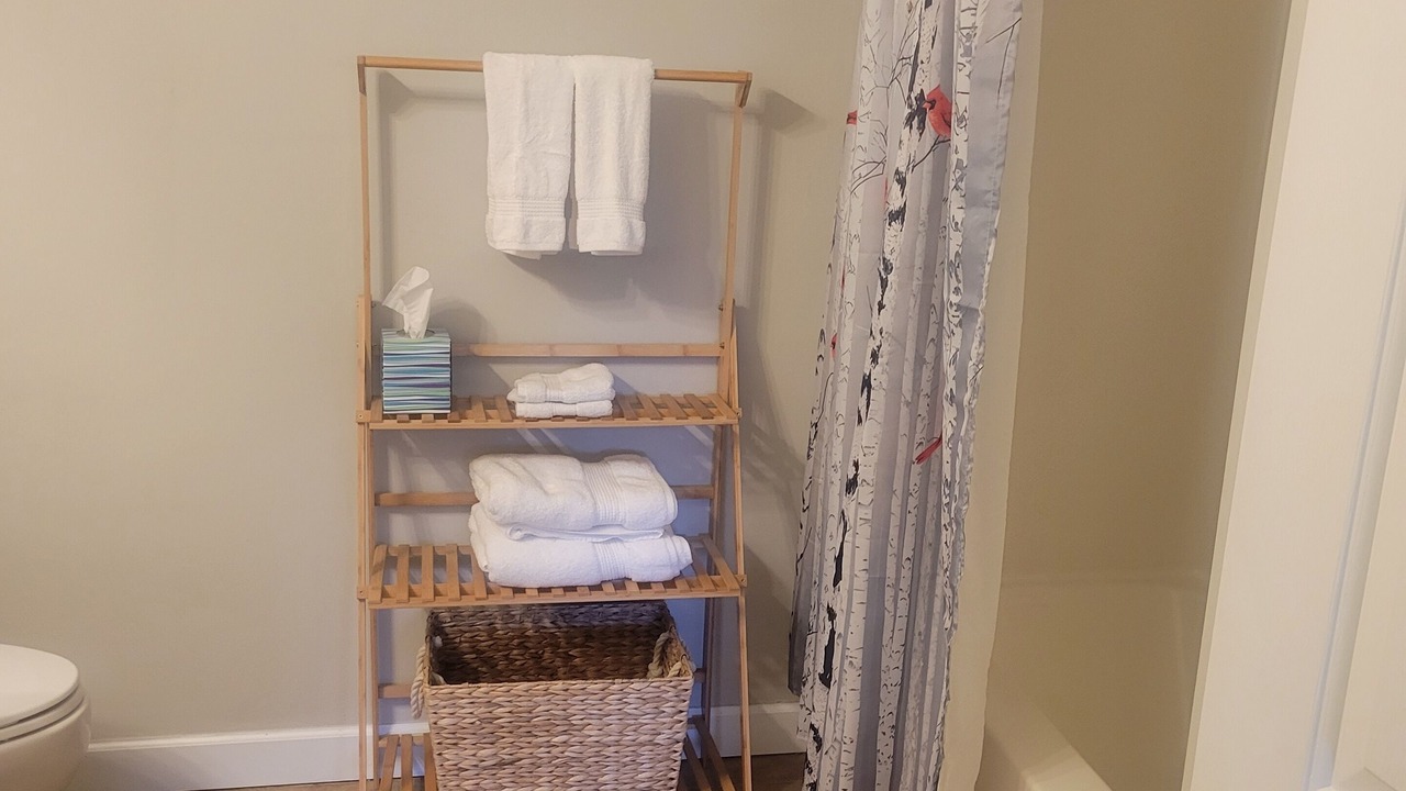 Photo of Bathroom in Lake Toxaway