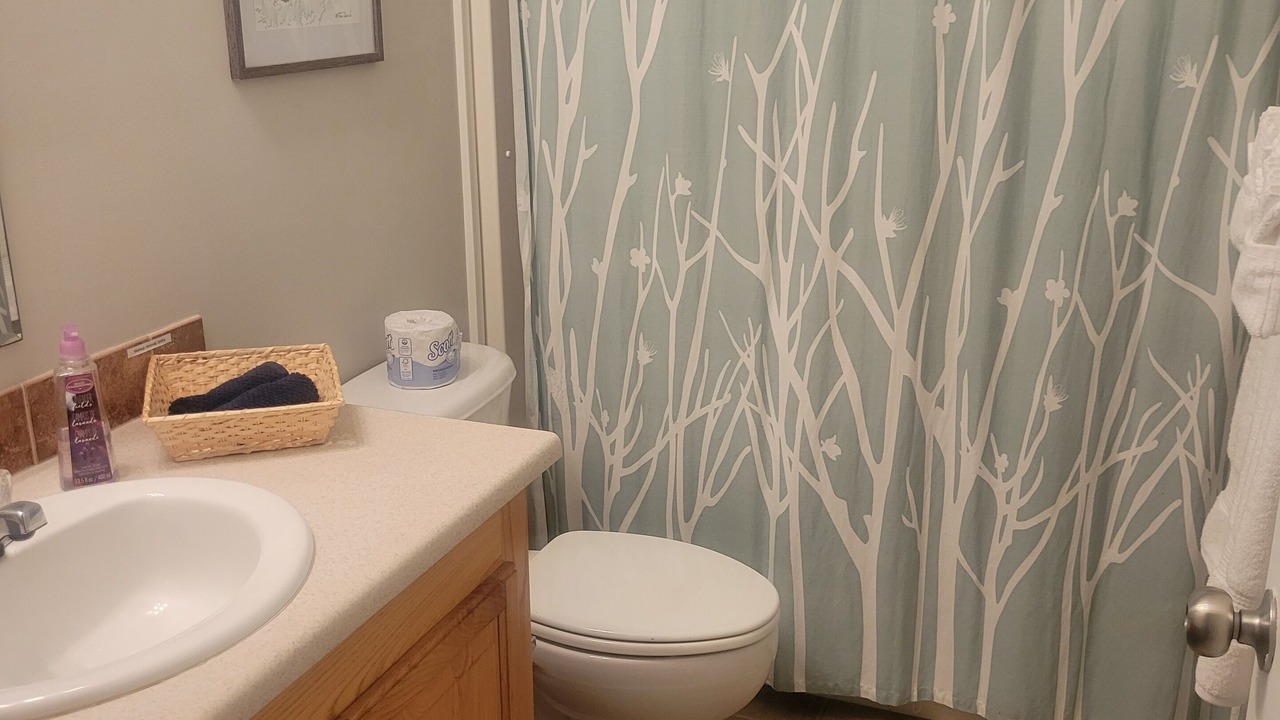 Photo of Bathroom in Lake Toxaway