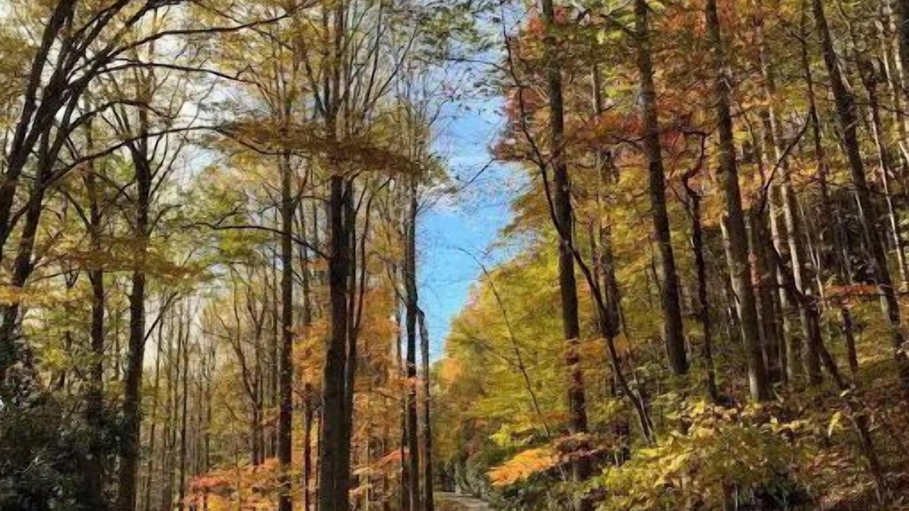 Photo of Others in Blowing Rock