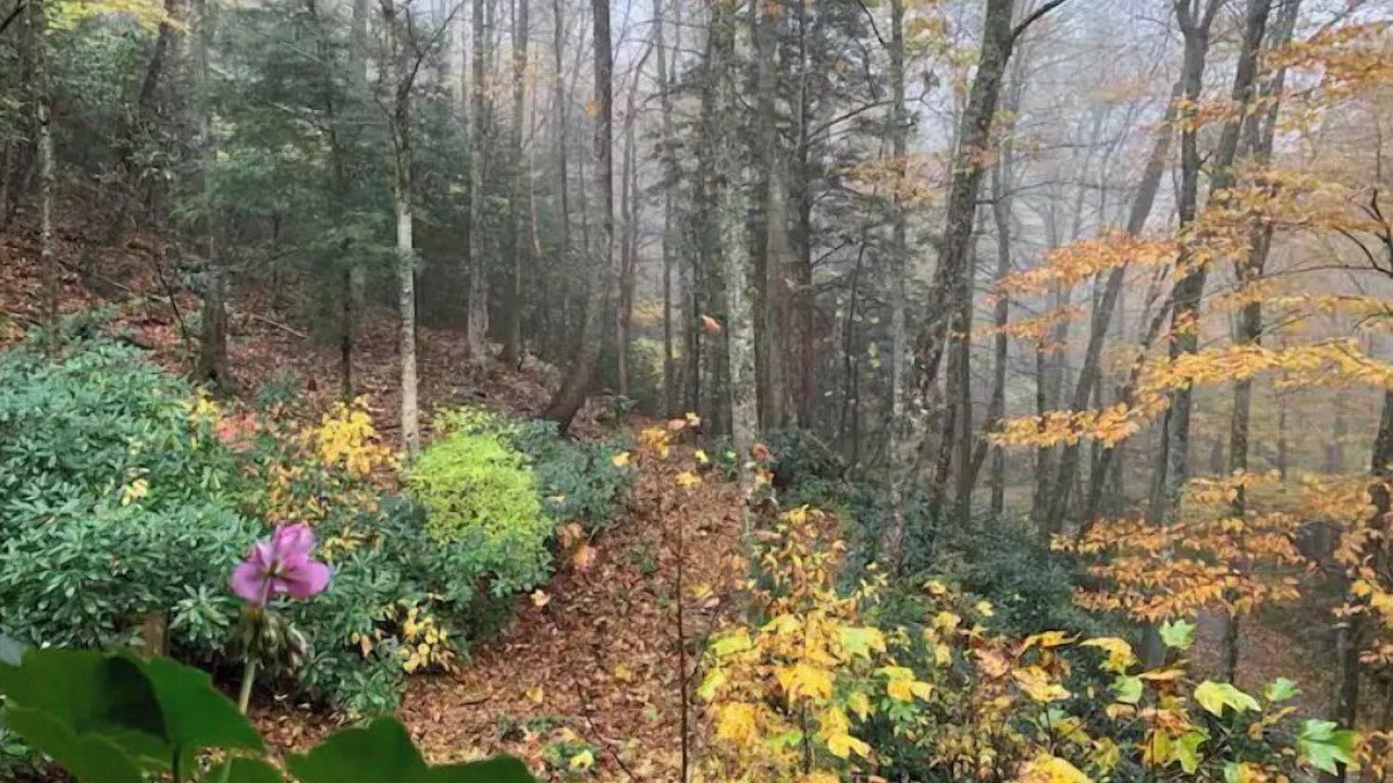 Photo of Outdoor in Blowing Rock
