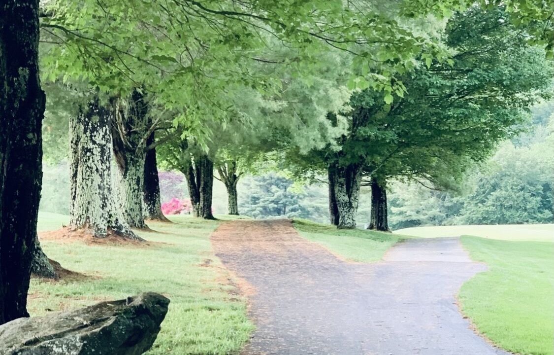 Photo of Outdoor in Sugar Mountain