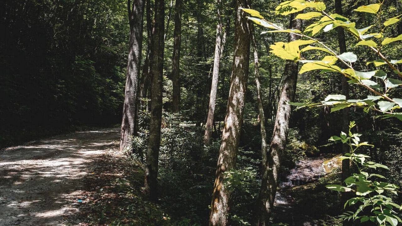 Photo of Outdoor in Purlear