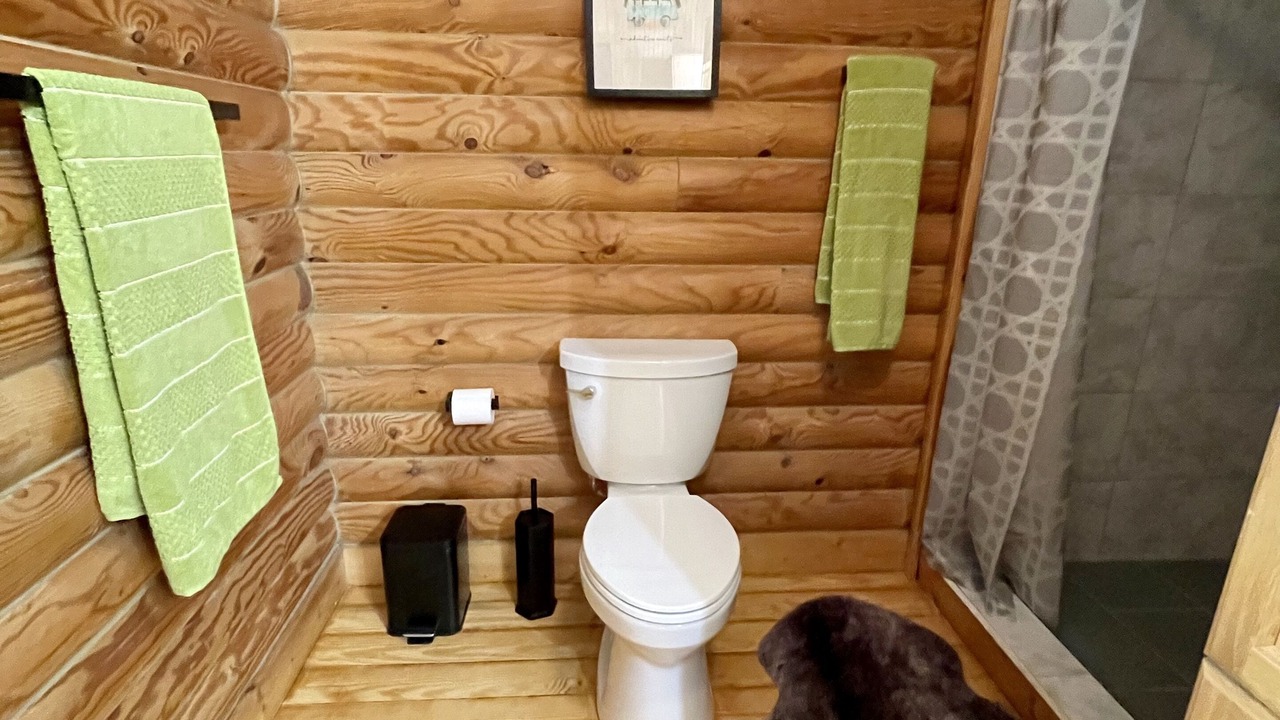 Photo of Bathroom in Vein Mountain