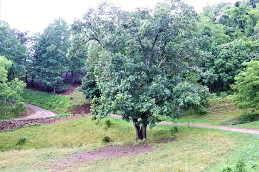 Photo of Outdoor in Leicester