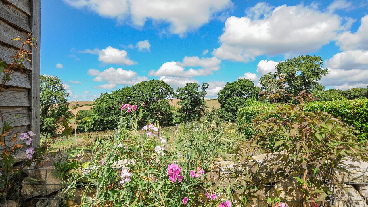 Photo of Outdoor in South Tawton