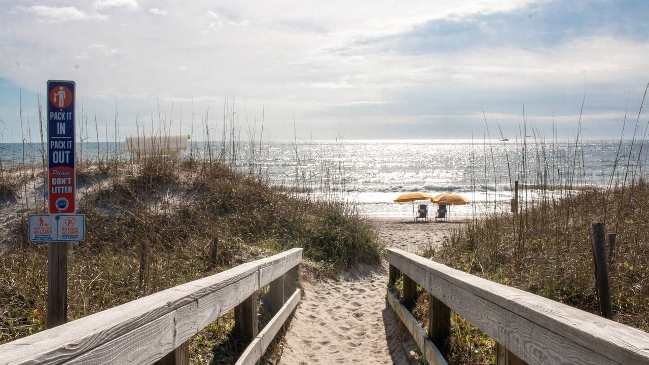 Photo of Others in Carolina Beach