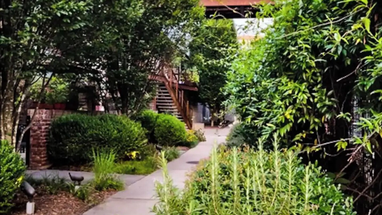 Photo of Outdoor in Saxapahaw