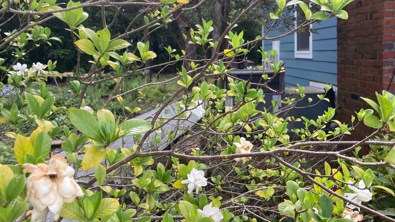 Photo of Outdoor in Wilmington