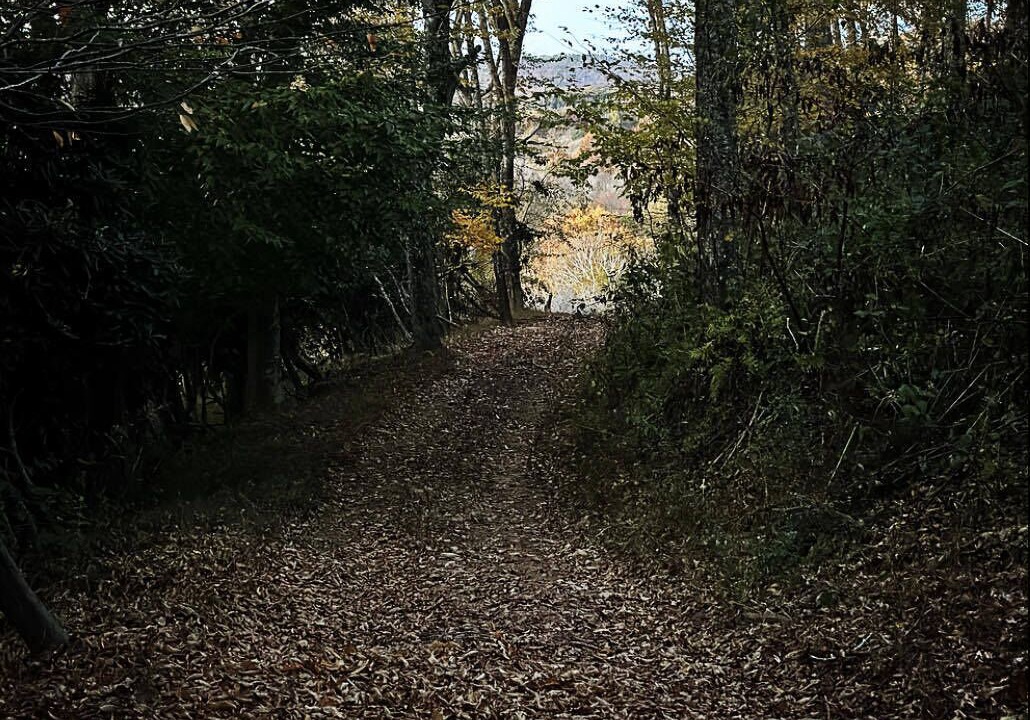 Photo of Others in Boone