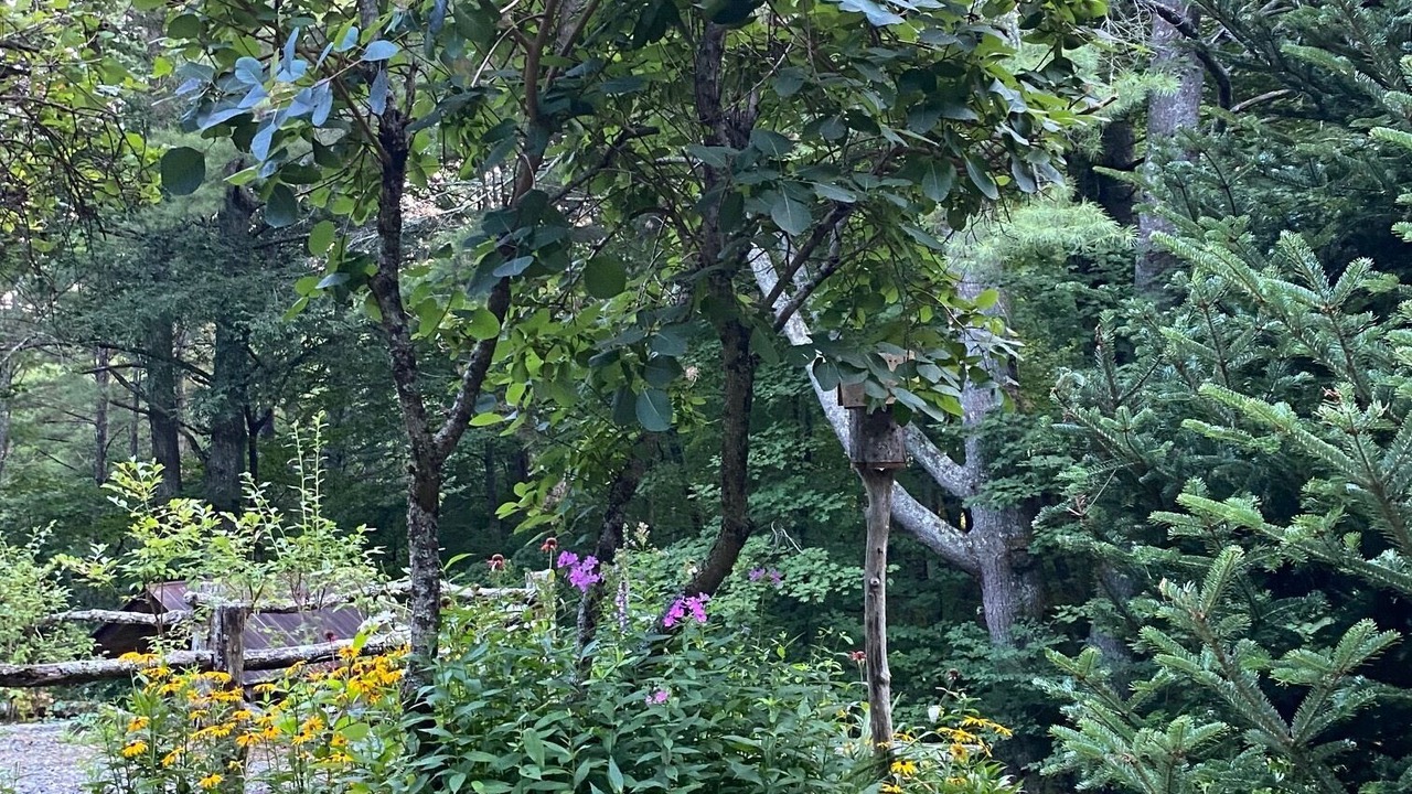 Photo of Outdoor in Fleetwood